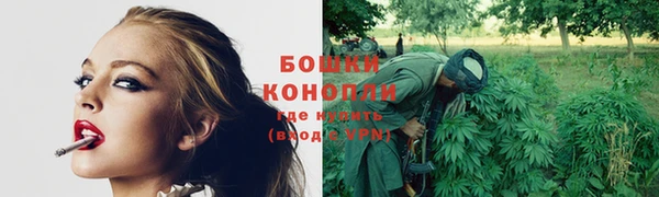 молекула духа Щигры