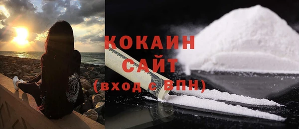 соль ск Абаза