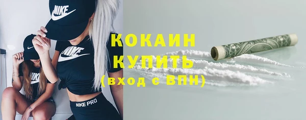 соль ск Абаза