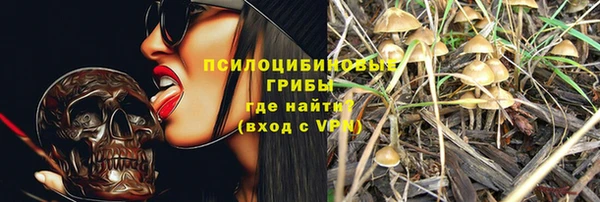 твердый Гусиноозёрск