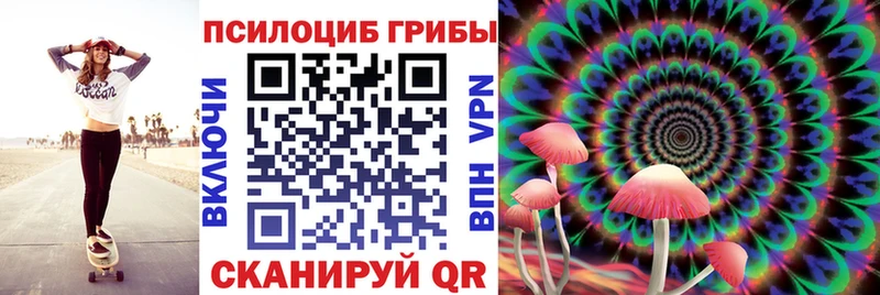 kraken зеркало Дубовка Галлюциногенные грибы Magic Shrooms
